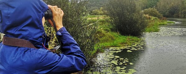 introducao_ao_birdwatching___rio_sado__11_