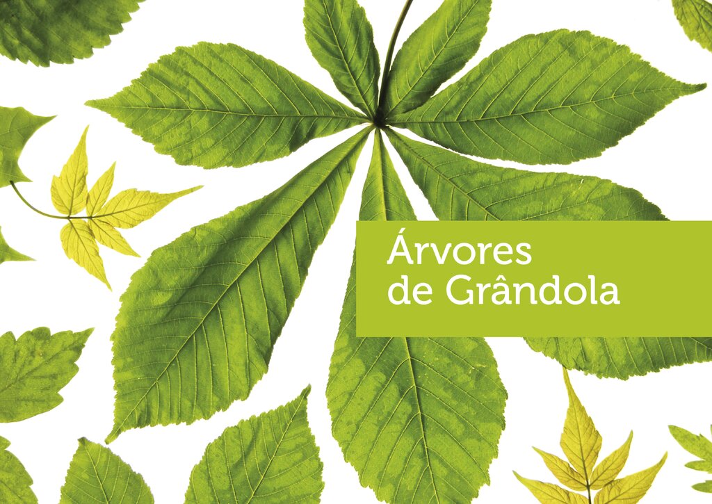 Município Assinala Dia Mundial da Árvore com Apresentação do livro temático "As Árvores de Grândola"