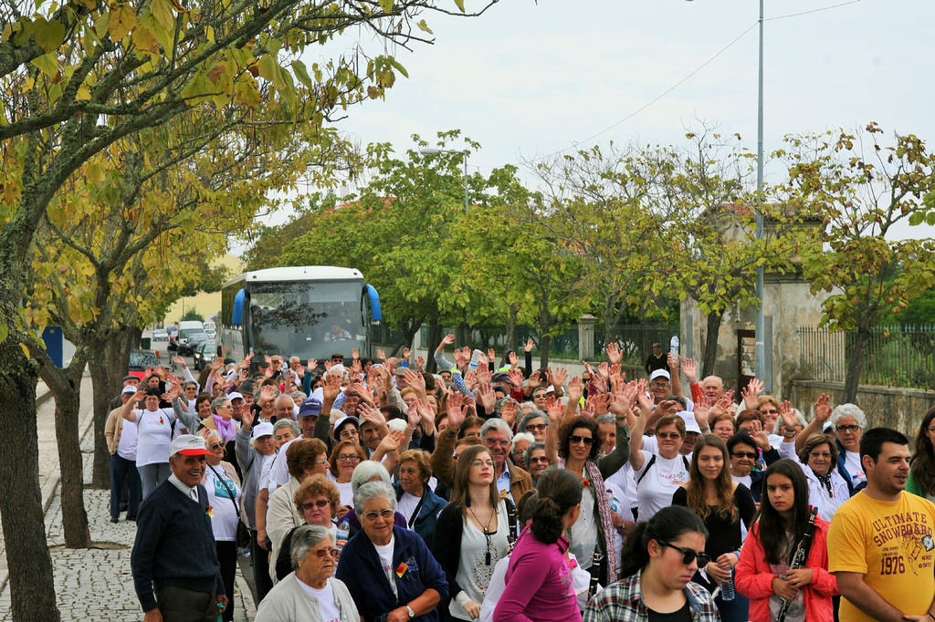 GERAÇÃO + Cerca de meio milhar de idosos são esperados este sábado em Grândola